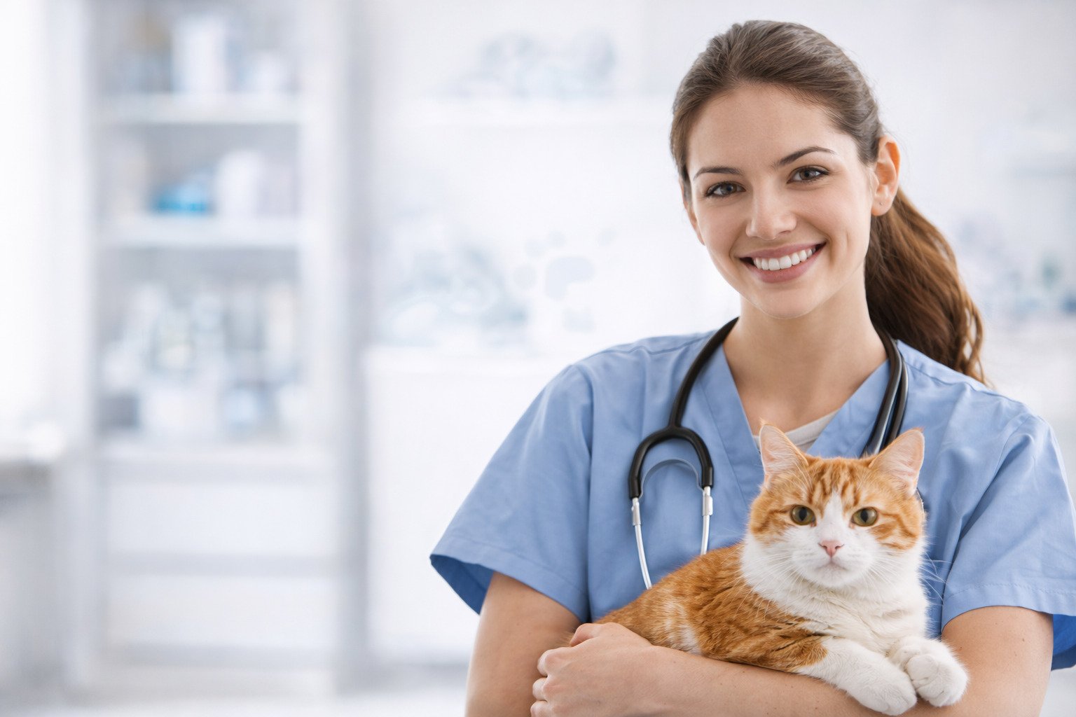 Veterinaria acompañando a un gato durante una consulta